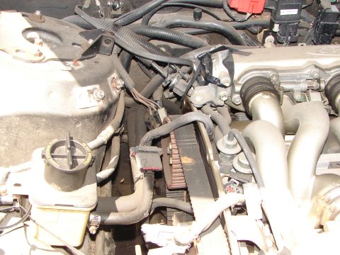 1992 Ford Taurus - Close-up view of the engine bay, focusing on the timing belt and associated engine components.