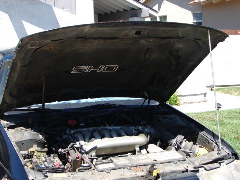 1992 Ford Taurus - The SHO badge is visible under the hood of this vehicle.
