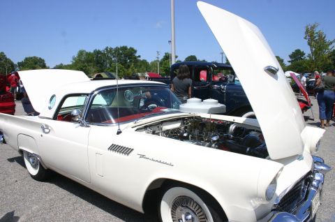 1968 Shelby GT500 - White 1957 Ford Thunderbird at a car show, hood and trunk open.