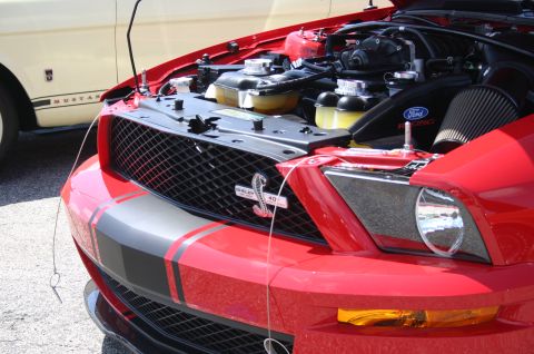 1968 Shelby GT500 - A red Shelby Mustang is displayed with its hood open, revealing the engine and a prominent 'Shelby 40' badge on the grille.