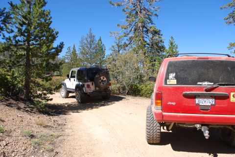 1996 Ford Bronco - Two Jeeps driving on a dirt road through a wooded area on a sunny day.