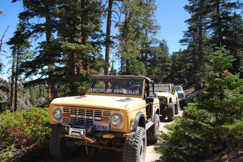 1996 Ford Bronco - A line of off-road vehicles navigates a wooded trail under a clear blue sky.