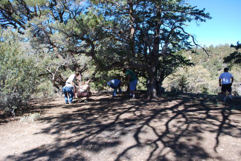 1996 Ford Bronco - A group of people are gathered under large trees in a natural outdoor setting.