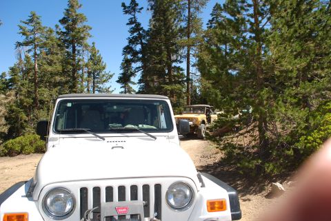 1996 Ford Bronco - Two Jeeps drive down a wooded dirt road under a clear blue sky.