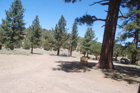 1996 Ford Bronco - A dirt road leads into a wooded area with several vehicles parked.