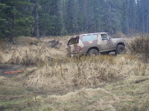 1985 Ford Bronco - A 1985 Ford Bronco navigates a challenging off-road terrain covered in mud and dry grass.