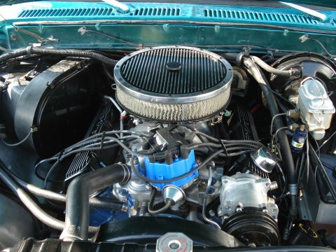 1979 Ford F-150 - The engine bay of a 1979 Ford F-150 features a prominent chrome air cleaner and a bright blue distributor cap.