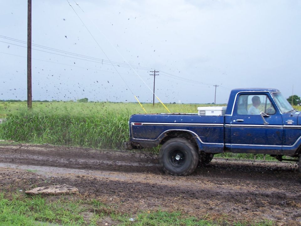 Blue 1979 Ford F-150 side view on muddy road
