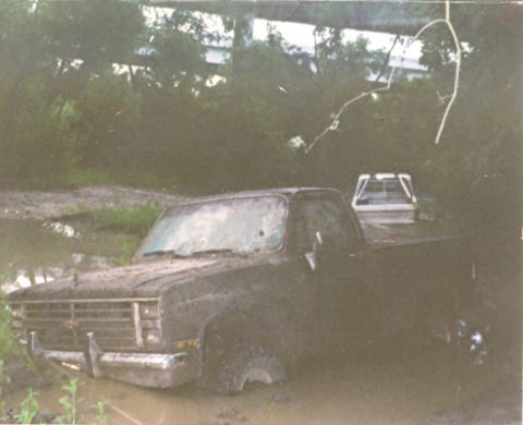 1979 Ford F-150 photo