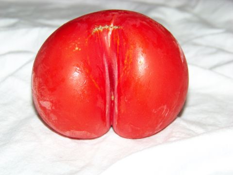 1994 Ford F-150 - A close-up of a red tomato with a prominent split, placed on a white textured surface.
