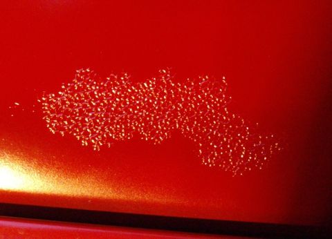 1978 Ford Bronco - Extreme close-up of a glossy red painted body panel showing a large patch of paint defect, a cluster of tiny raised blisters or solvent pop…