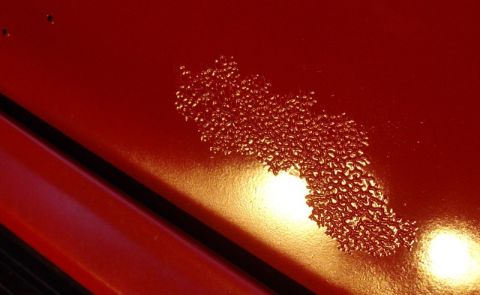 1978 Ford Bronco - Close-up of red vehicle paint with a wide streak of pinholed, blistered texture where the finish has lifted or solvent-popped. A dark panel…