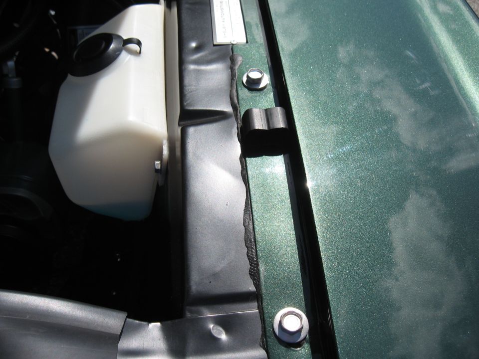 Close-up of a white fluid reservoir and green metallic fender in a car's engine bay
