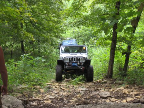 2005 Jeep Wrangler - Two Jeep Wranglers navigate a challenging, rocky path through a dense, green forest.