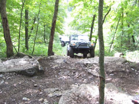 2005 Jeep Wrangler - Two Jeep Wranglers navigate a challenging, wooded off-road path with large rocks and trees.