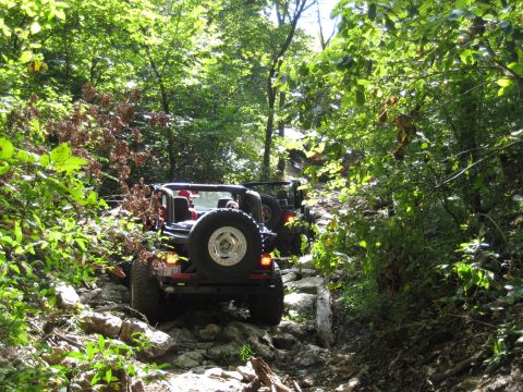 2005 Jeep Wrangler - Two Jeep Wranglers navigate a challenging rocky path through a dense forest.