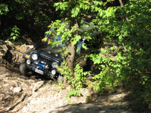 2005 Jeep Wrangler - A Jeep Wrangler is shown navigating a challenging, rocky off-road trail surrounded by dense foliage.