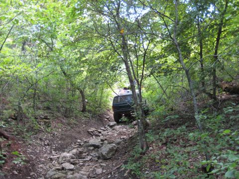 2005 Jeep Wrangler - A Jeep navigates a challenging, overgrown path, surrounded by dense foliage and rocks.