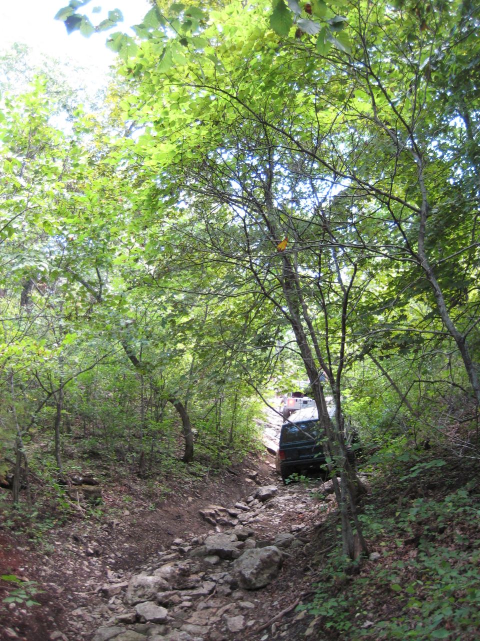 Dark green Jeep Wrangler driving on a rocky, wooded trail