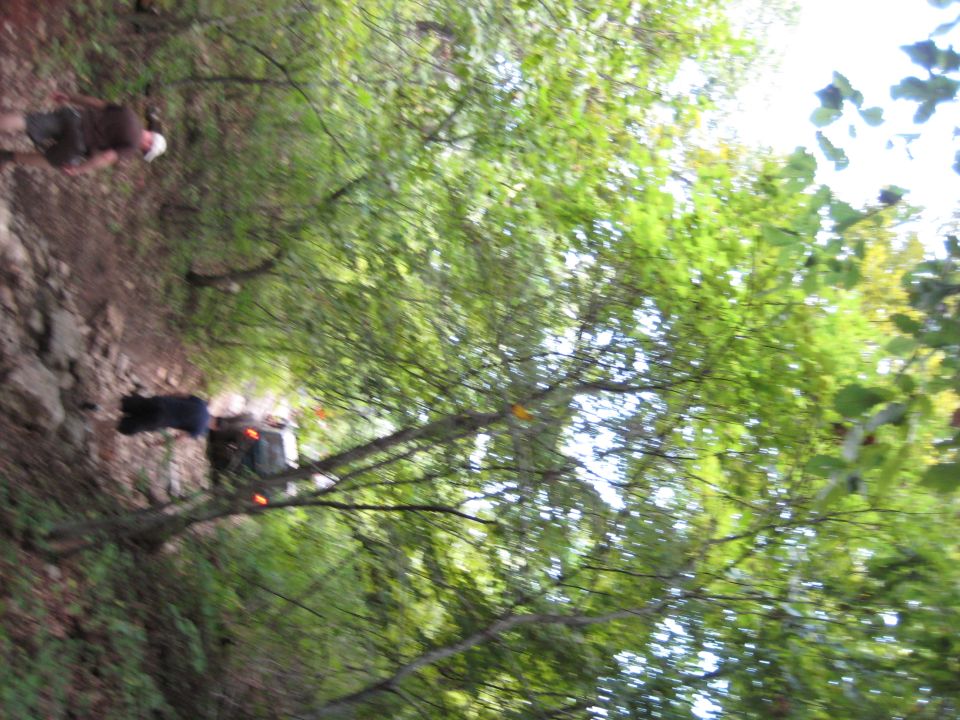 Off-road vehicle on a rocky, wooded trail