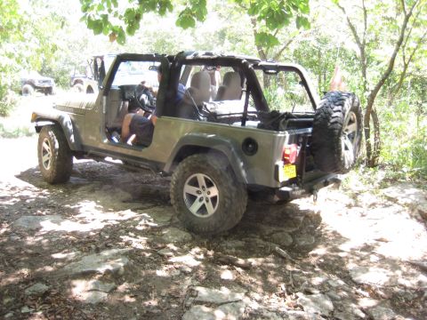 2005 Jeep Wrangler - A Jeep Wrangler navigates a challenging off-road path with trees overhead.