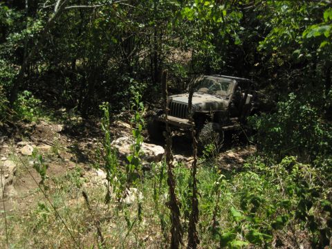 2005 Jeep Wrangler - Jeep Wrangler tackling an off-road trail through dense foliage.