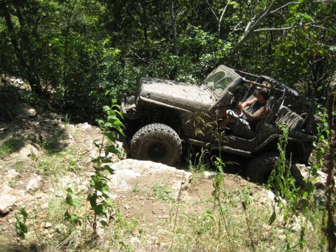 2005 Jeep Wrangler - A Jeep TJ navigates a challenging, overgrown off-road trail, kicking up dirt and mud.