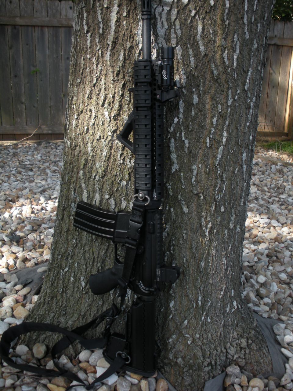 Black rifle with scope and sling leaning against a tree trunk