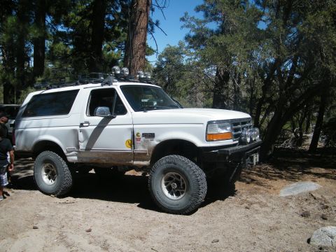 1982 Ford Bronco - This white Ford Bronco, likely a 1992 model, is equipped for off-road adventures with large tires and a roof rack.