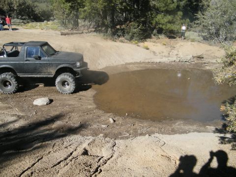 1982 Ford Bronco - Off-road SUV navigates a muddy obstacle on a dirt trail with trees and a pond in the background.