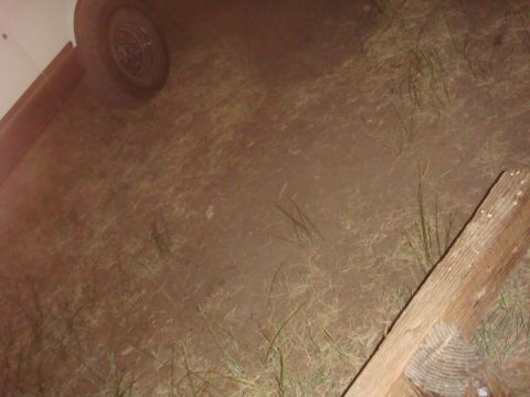 1992 Ford Bronco - A close-up view of a tire and the surrounding dry, grassy ground, with a piece of wood in the foreground.