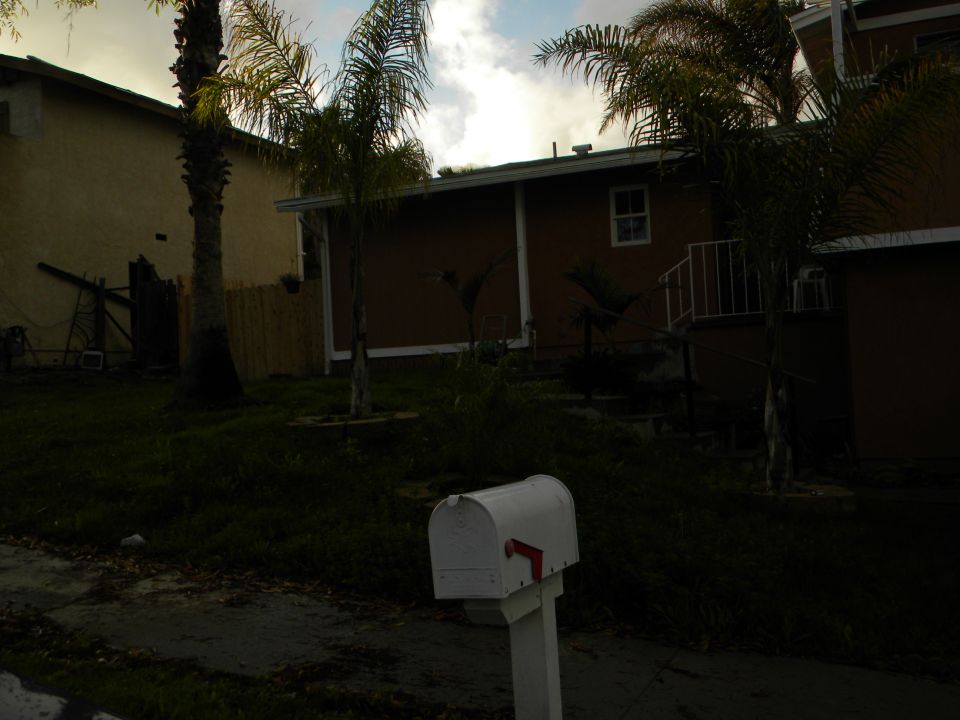 White mailbox with red flag in front of a house and palm trees