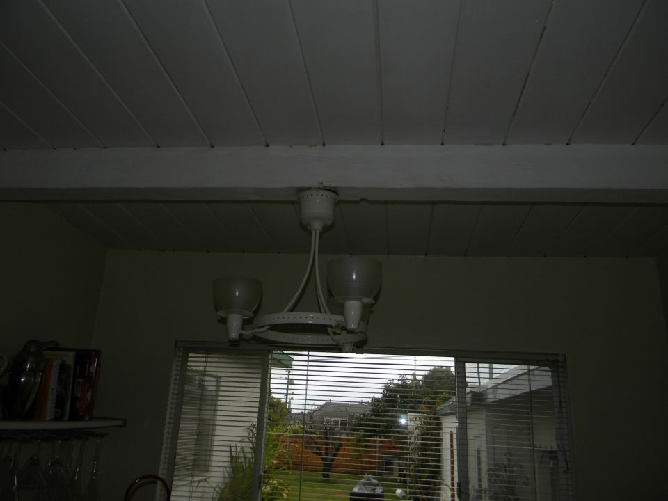 Interior ceiling with a white light fixture and a window showing a backyard scene