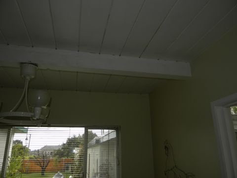 1992 Ford Bronco - View from inside a room, looking up at the ceiling and out a window at a residential neighborhood.