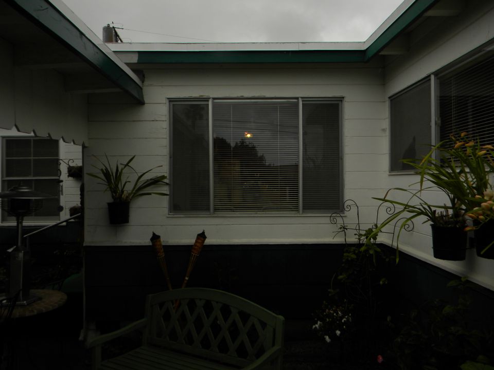 backyard patio with bench, plants, and tiki torches