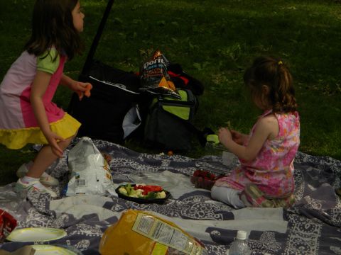 1992 Ford Bronco - Two young girls enjoy a picnic in the grass with snacks and drinks spread out on a blanket.