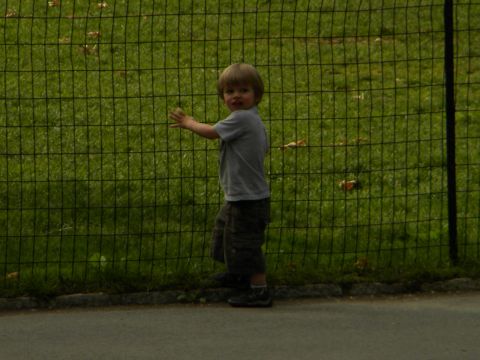 1992 Ford Bronco - A young child stands by a fence in a park setting.