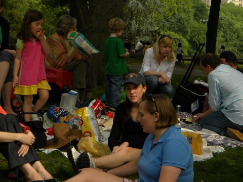 1992 Ford Bronco - A group of people are gathered for a picnic in a park, with food and drinks laid out on a blanket under the trees.
