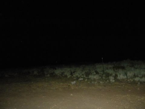 1992 Ford Bronco - A dark landscape scene at night with a fence and grass is visible, along with a website logo.