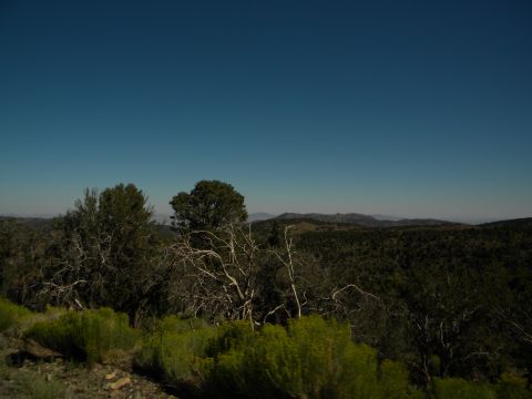 1992 Ford Bronco - A vast expanse of rolling hills and dense forests stretches towards the horizon under a bright, cloudless sky.