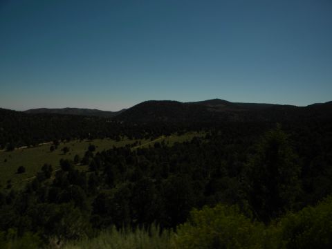 1992 Ford Bronco - A scenic view of rolling hills covered in trees, with a dirt road visible in the distance.
