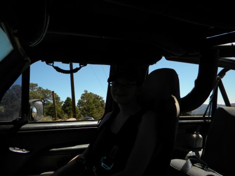 1992 Ford Bronco - Person inside a Jeep, with a view of the outdoors through the windows.