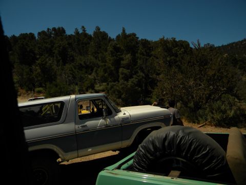 1992 Ford Bronco - A 1978 Ford Bronco is parked next to a green pickup truck in a wooded area.