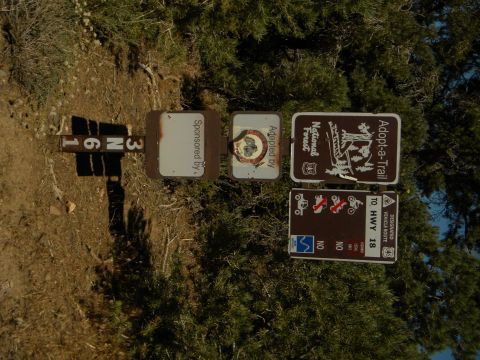 1992 Ford Bronco - A collection of signs marks a trail in a natural environment, with one indicating a route to HWY 18.
