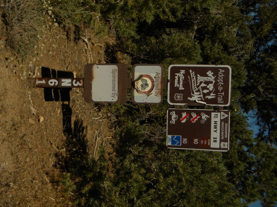 Trail signs including 'Adopt-a-Trail' and 'National Forest'. One sign has trail markers '3 N 6 1'
