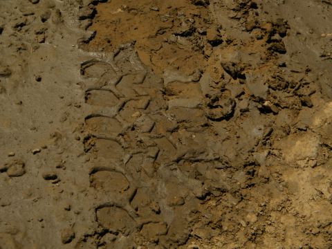 1992 Ford Bronco - Tire tracks are visible in the mud, indicating recent vehicle passage.