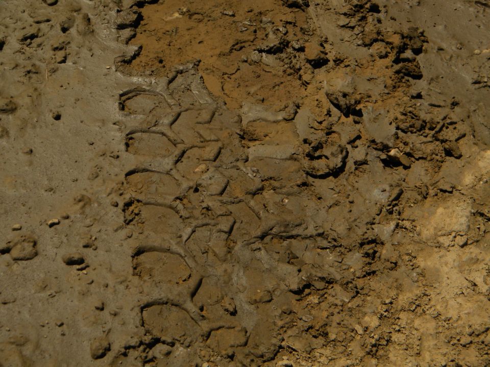 Tire tracks in mud