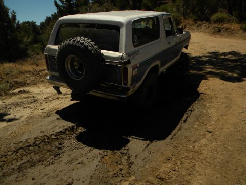 1992 Ford Bronco - This Ford Bronco is driving on a dirt road with trees in the background.
