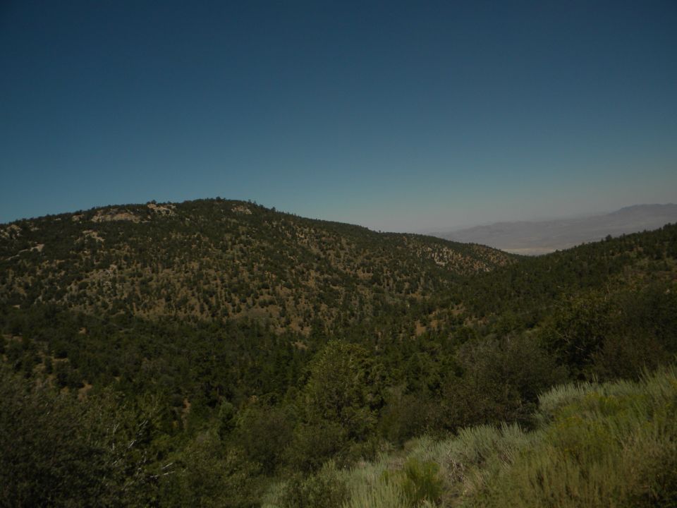 Hilly terrain with scattered trees under a clear blue sky. A distant valley is visible