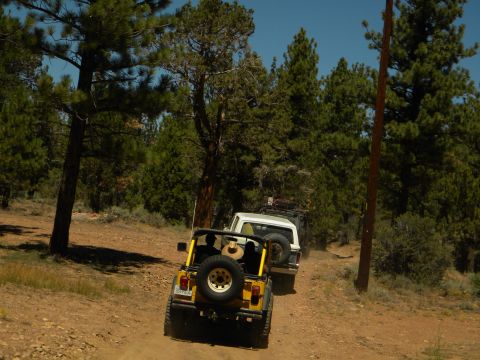 1992 Ford Bronco - Two off-road vehicles navigate a dusty trail surrounded by pine trees.